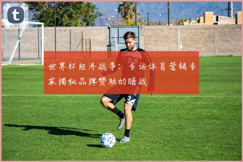 世界杯经济战争：专访体育营销专家揭秘品牌赞助的暗战