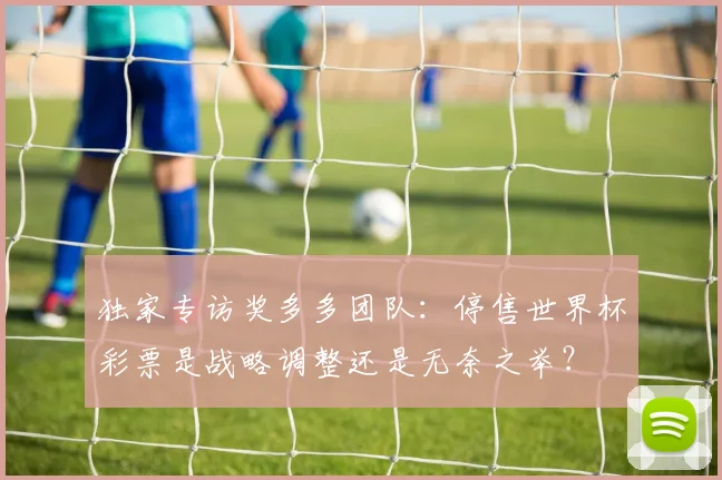 独家专访奖多多团队：停售世界杯彩票是战略调整还是无奈之举？
