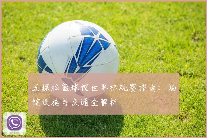 五棵松篮球馆世界杯观赛指南：场馆设施与交通全解析
