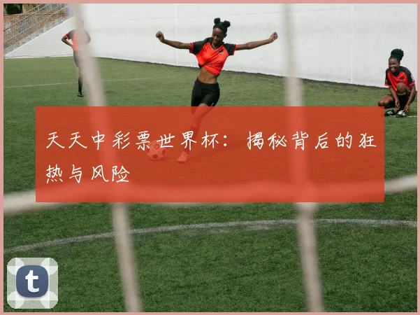 天天中彩票世界杯：揭秘背后的狂热与风险