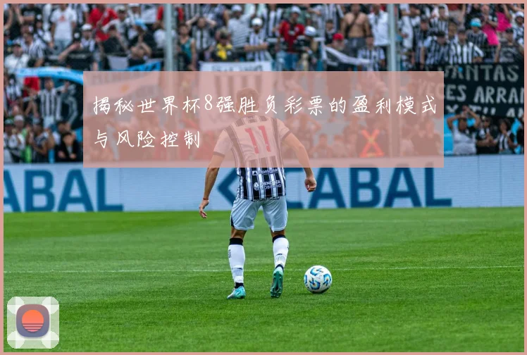 揭秘世界杯8强胜负彩票的盈利模式与风险控制