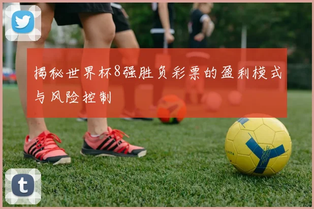 揭秘世界杯8强胜负彩票的盈利模式与风险控制