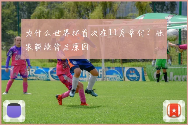 为什么世界杯首次在11月举行？独家解读背后原因