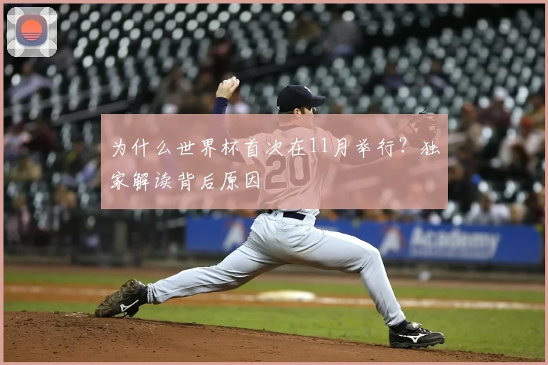 为什么世界杯首次在11月举行?独家解读背后原因