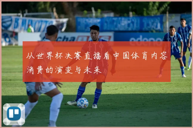 从世界杯决赛直播看中国体育内容消费的演变与未来