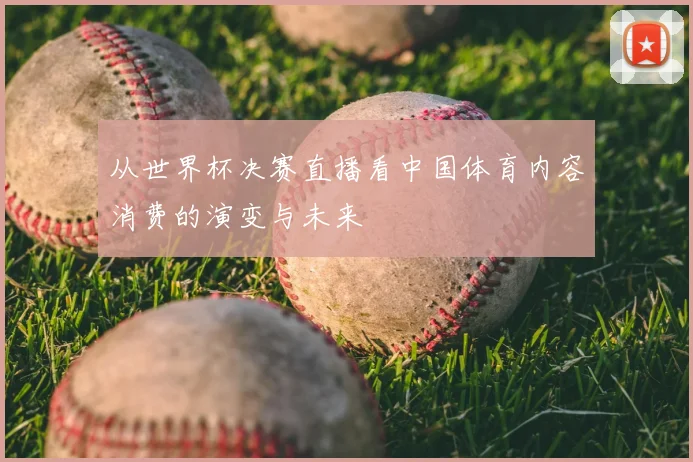 从世界杯决赛直播看中国体育内容消费的演变与未来