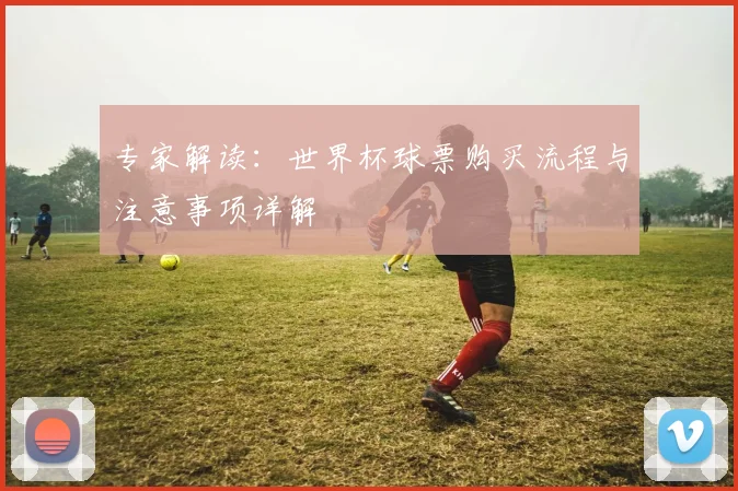 专家解读:世界杯球票购买流程与注意事项详解