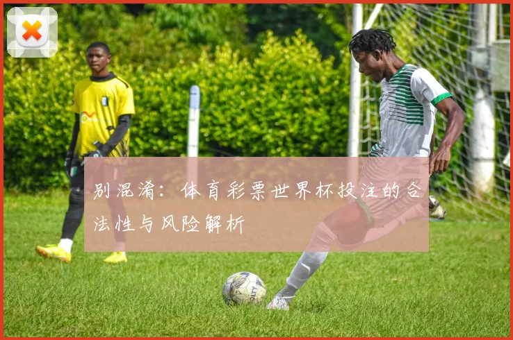 别混淆：体育彩票世界杯投注的合法性与风险解析