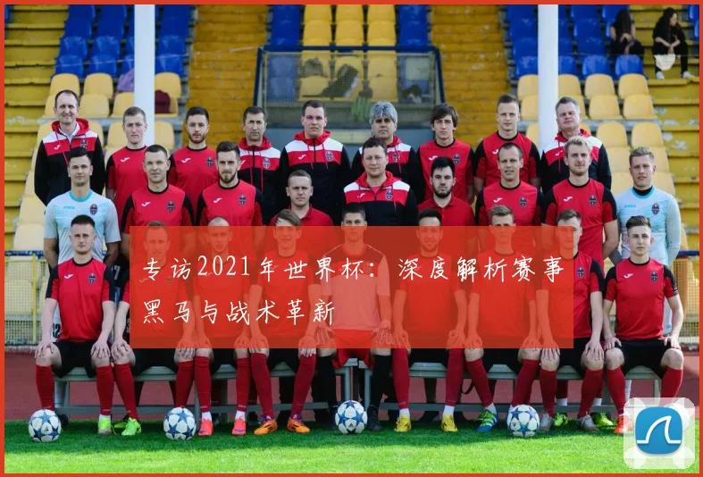 专访2021年世界杯:深度解析赛事黑马与战术革新