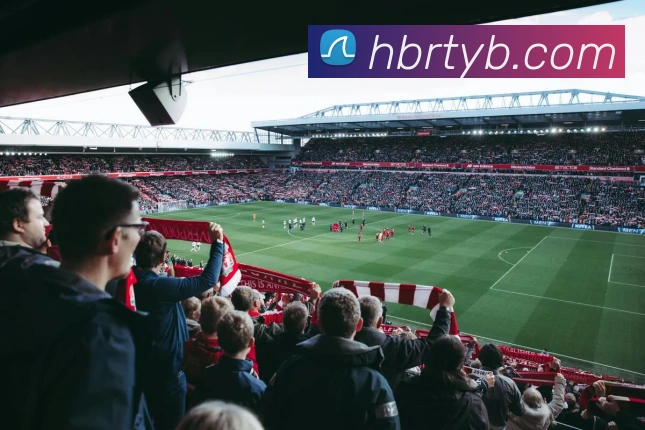 mksports网站APP 高清赛事图